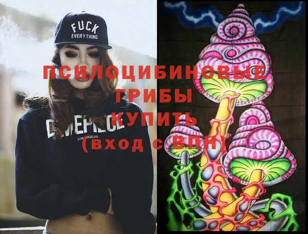 дурь Мегион