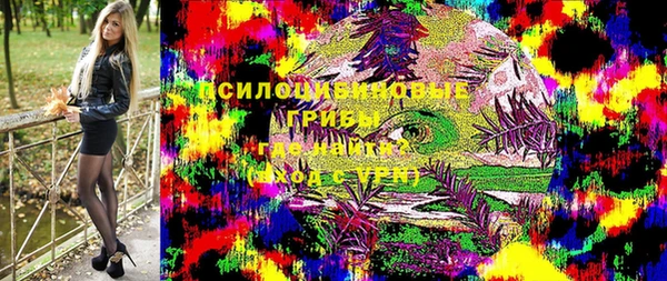 дурь Мегион