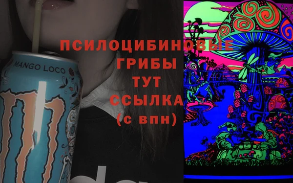 дурь Михайловка