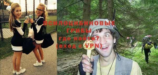 дурь Мегион