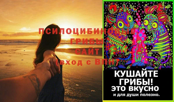дурь Мегион