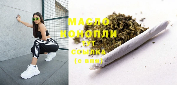 гидропоника Медногорск