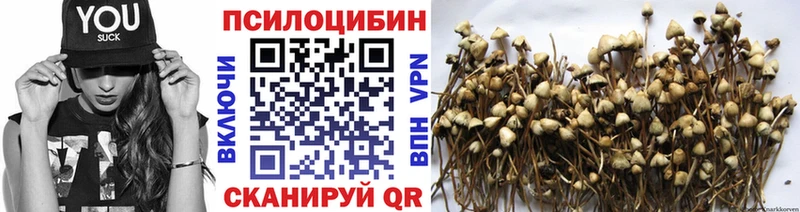 Галлюциногенные грибы GOLDEN TEACHER  Купить  Похвистнево 